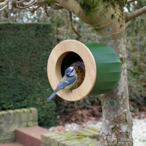 Cactus - Bird feeder & house - Wall - Green