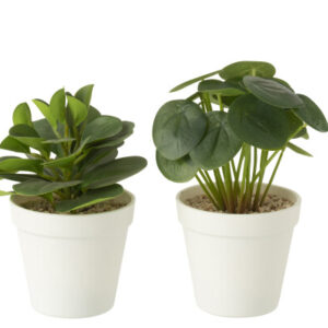 Planten In Pot Kunstmatig Groen Assortiment Van 2 (54911)-prijs per stuk