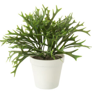 Platycerium Bifurcatum In Pot Kunstmatig Groen (54912)