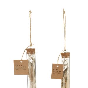 Hangende Buizen Met Gedroogde Bloemen Glas Naturel (32963)