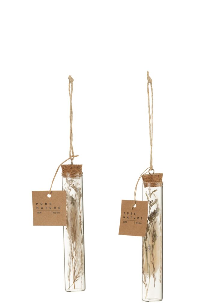 Hangende Buizen Met Gedroogde Bloemen Glas Naturel  (32963)