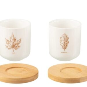 Doos 4 Koffietassen + Schotel Bambou Blad Cadeau Doos Keramiek Bruin (49232)