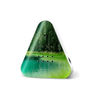 Lakesidebox Forest Lake